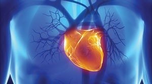 Cardiology