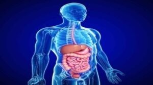 Gastroenterology