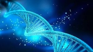 Genetics