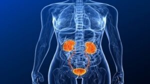 Nephrology