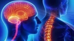 Neurology