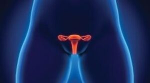 Obstetric Medicine